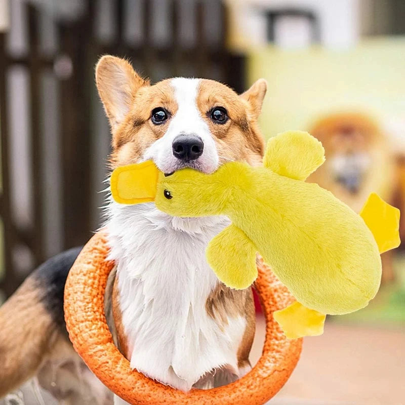 Hundespielzeug „Sprechende Ente“